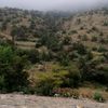 حسن  الحارثي