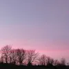 annabelleshaw0