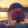 alee_2576