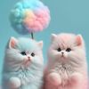 nay_658