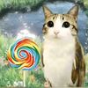 santi_gato