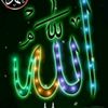 md.hasmot456