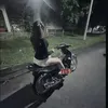 nhochongiu_qatroi