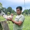 aglujasrjay