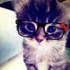 elestiriyorusmm_