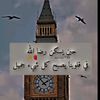 user8710814726851