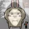 haohaobeo