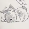 minaq807