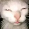uhi_210