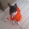dobra0606