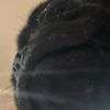 yofrokkgn91