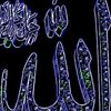 sabirahammed282
