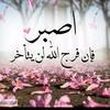 abo.hussein.1234