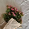taif_2005