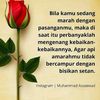 yuniar.pare