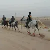 تيم جديد