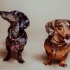 dappleduo