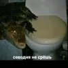 kot_boris643