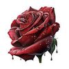 xoxooo352