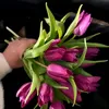 slm_kbln