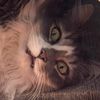 purrifiedpuss