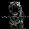 user3153714695768