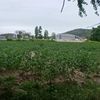 kyaw.por