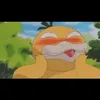 shyduckkkkkyyy