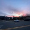 trust_brian619
