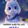 user4836128879039