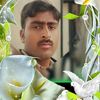 faisal15737