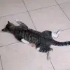 kenizam