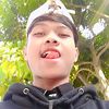 arip222006