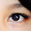 bai.xue.xue
