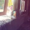 rhebika_20