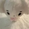 kattzz_k