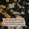 user2422742944053