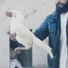 zaikrkhan776