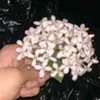 _rl_ali