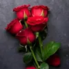 sandip46334