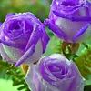 silentisbetter_123