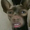 blackgsauce