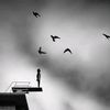 shahin.alom516