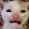 dobietaidayyhehe