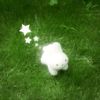 bassant_kasem