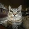 niewiem_769