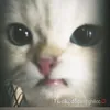 vyylien_zin