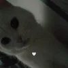 ☆