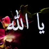مواعظ الشيخ احمد الوائلي