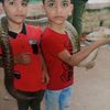 zayedmahmed20
